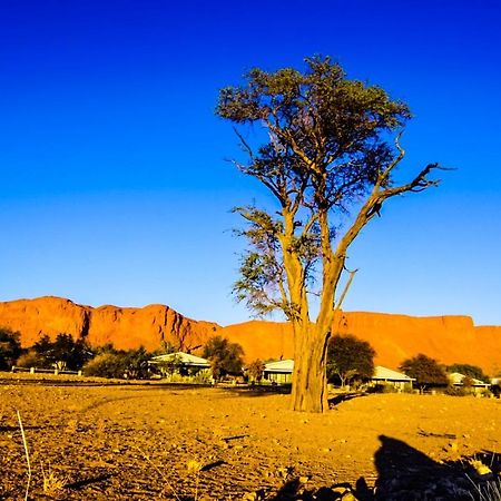 Namib Desert Campsite Solitaire Exterior photo