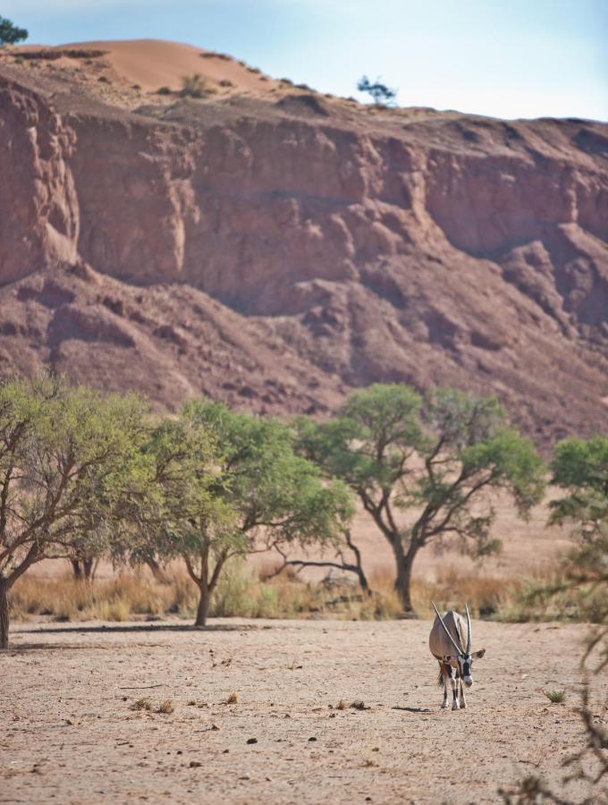 Namib Desert Campsite Hotel Solitaire Exterior photo