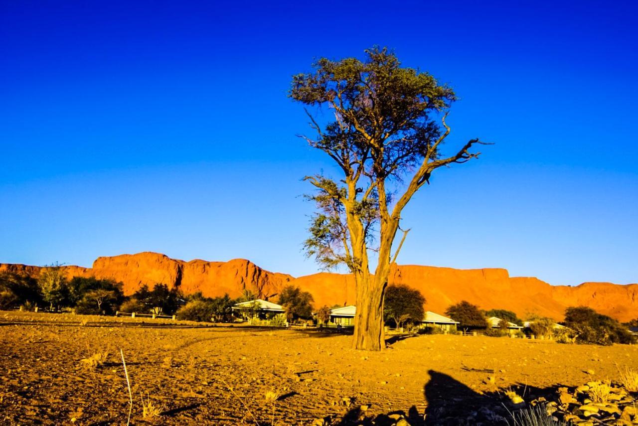 Namib Desert Campsite Solitaire Exterior photo